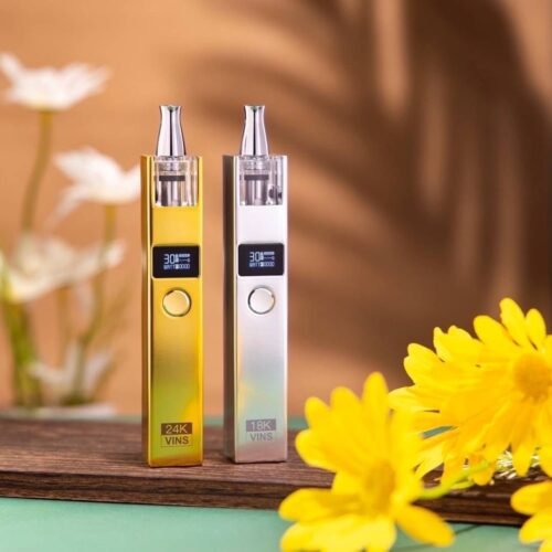VINS 24K 小金磚 小銀磚 電子煙 小煙主機 煙彈 0.8 1.2 煙霧