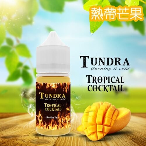 TUNDRA TUNDRA芒果 T牌芒果 電子煙 水果煙油 小煙油 果汁 鹽油 VAPE